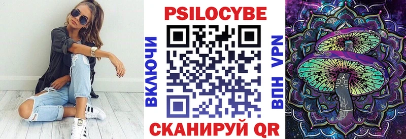 мориарти как зайти  ссылка на мегу tor  Шатура  Галлюциногенные грибы Psilocybe 