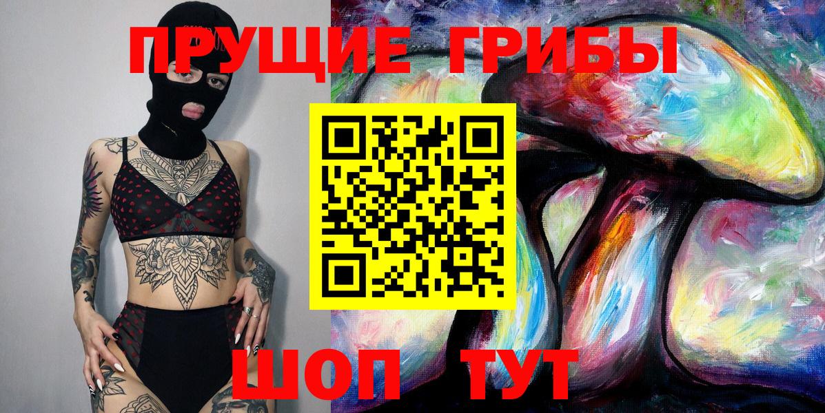 Шатура  Псилоцибиновые грибы мицелий  Псилоцибиновые грибы Psilocybine cubensis  Вход с VPN 